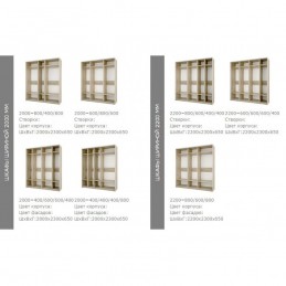 Шкаф купе "Fortune 13"