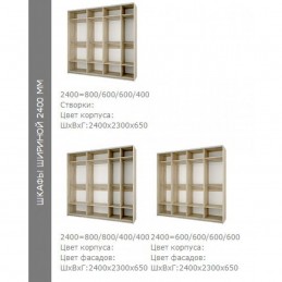 Шкаф купе "Fortune 13"