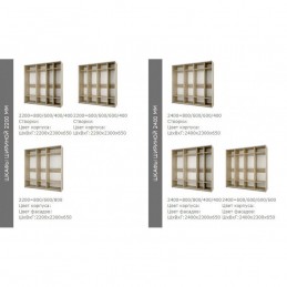 Шкаф купе "Fortune 19"