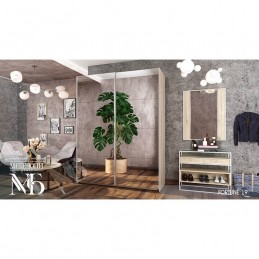 Шкаф купе "Fortune 19"