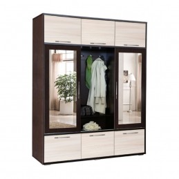 Прихожая купе "Ника-2"