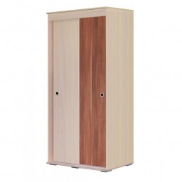 Шкаф-купе №17 "Евро"