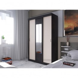 Шкаф-купе "Бася" инт.