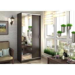 Шкаф-купе Альянс 1.0