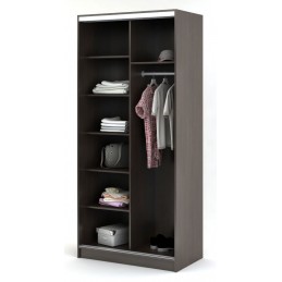 Шкаф-купе Альянс 1.0