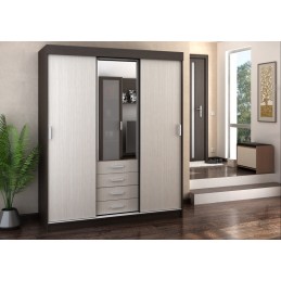 Шкаф-купе Лидер 3 М